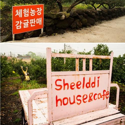 Sheelddi Pension Seogwipo Ngoại thất bức ảnh